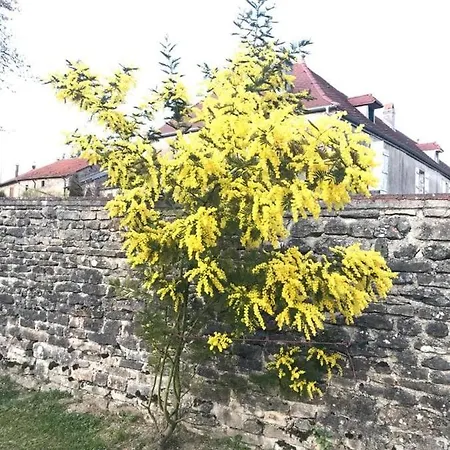 Chez Zoiseau Et Zoiseautte