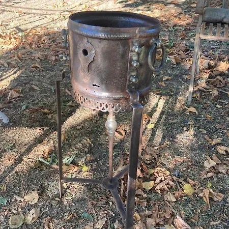 Chez Zoiseau Et Zoiseautte